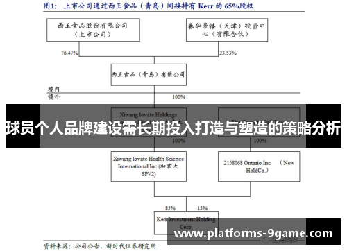球员个人品牌建设需长期投入打造与塑造的策略分析