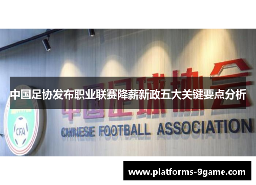 中国足协发布职业联赛降薪新政五大关键要点分析