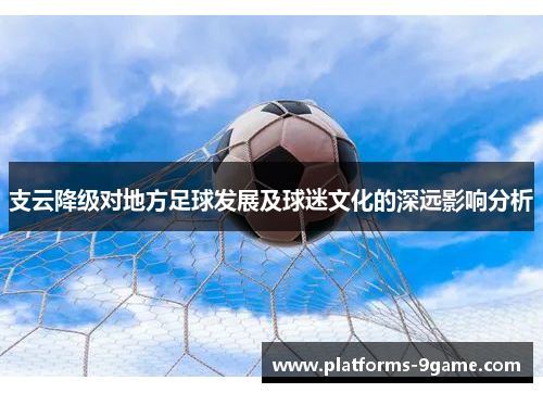 支云降级对地方足球发展及球迷文化的深远影响分析