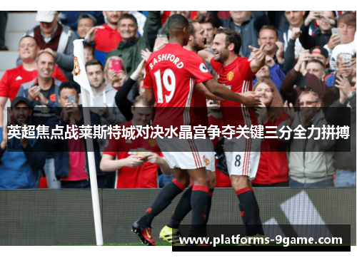 英超焦点战莱斯特城对决水晶宫争夺关键三分全力拼搏 英超焦点战莱斯特城对决水晶宫争夺关键三分全力拼搏