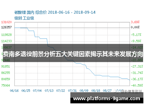 费南多退役前景分析五大关键因素揭示其未来发展方向