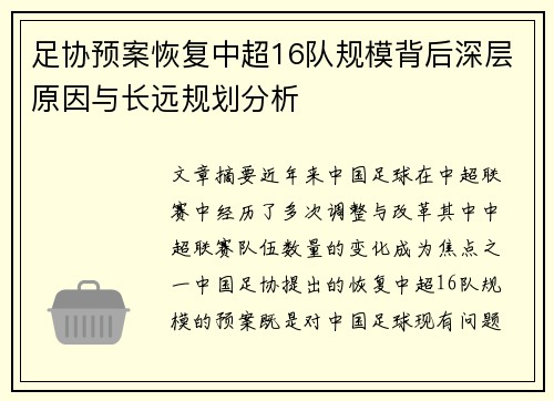 足协预案恢复中超16队规模背后深层原因与长远规划分析