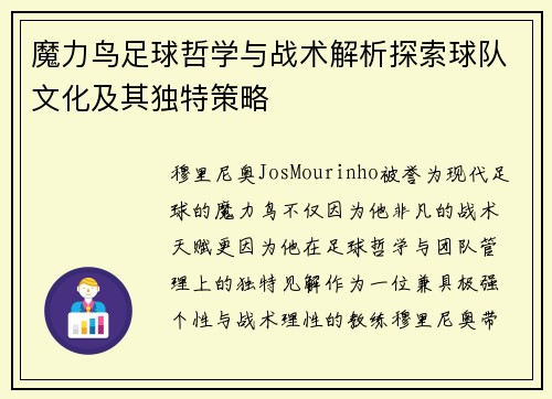 魔力鸟足球哲学与战术解析探索球队文化及其独特策略